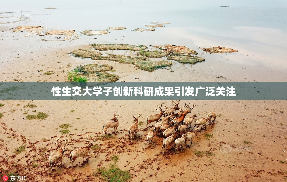 性生交大学子创新科研成果引发广泛关注