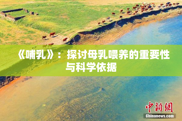 《哺乳》：探讨母乳喂养的重要性与科学依据