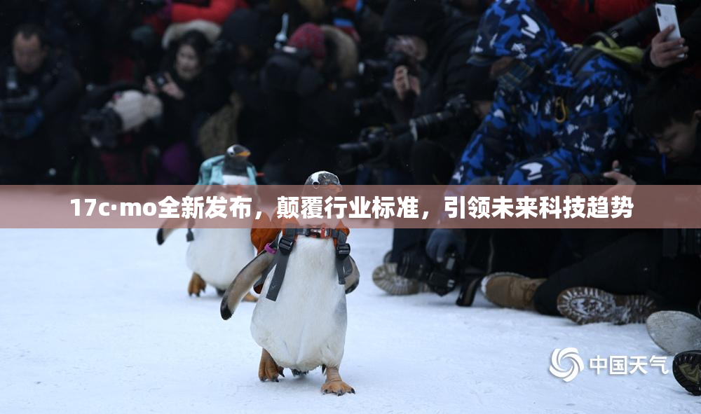 17c·mo全新发布，颠覆行业标准，引领未来科技趋势