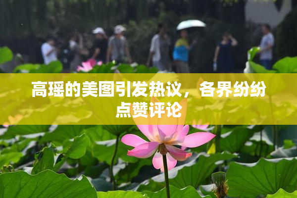 高瑶的美图引发热议，各界纷纷点赞评论