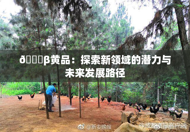 🔞β黄品：探索新领域的潜力与未来发展路径