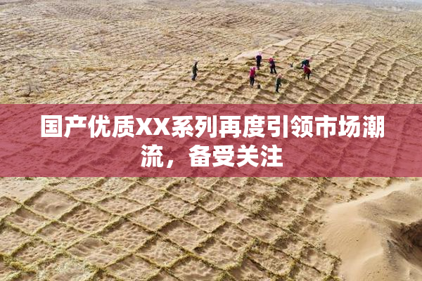 国产优质XX系列再度引领市场潮流，备受关注