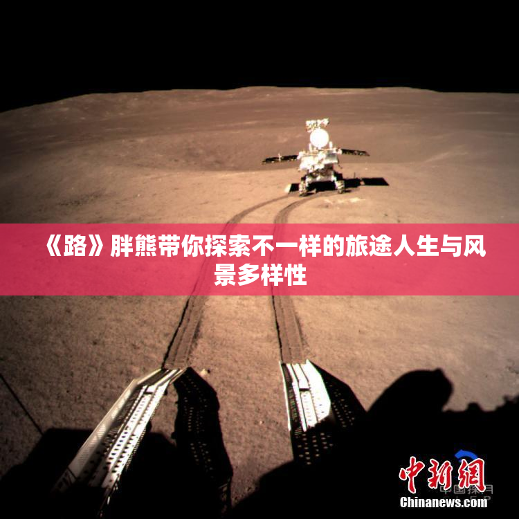 《路》胖熊带你探索不一样的旅途人生与风景多样性