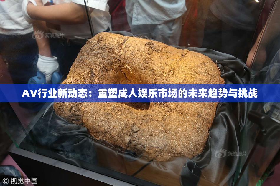 AV行业新动态：重塑成人娱乐市场的未来趋势与挑战