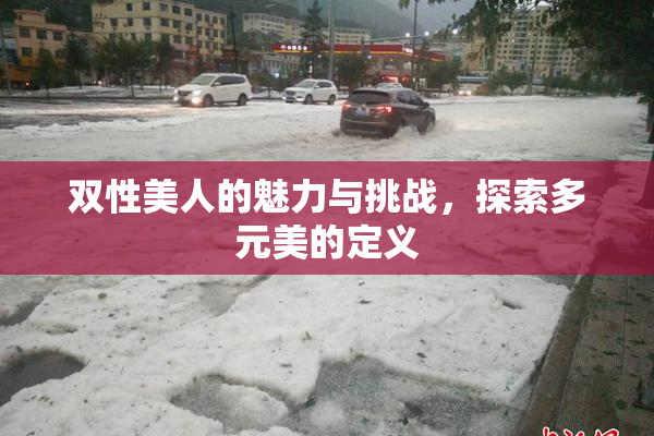 双性美人的魅力与挑战，探索多元美的定义