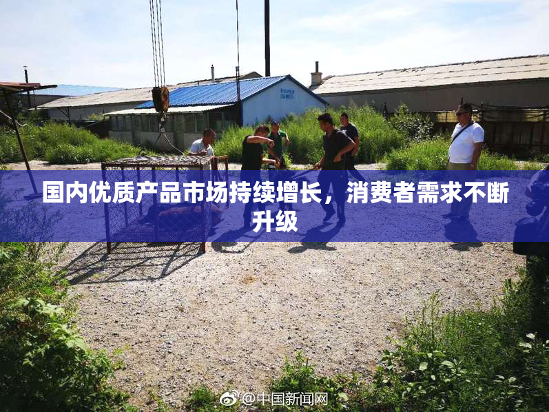 国内优质产品市场持续增长，消费者需求不断升级