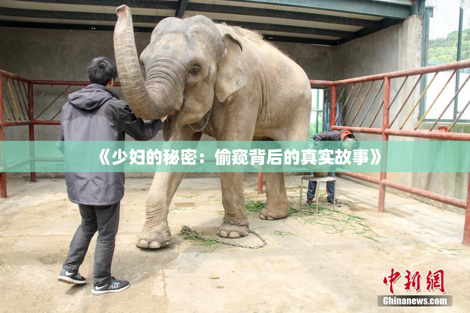 《少妇的秘密：偷窥背后的真实故事》