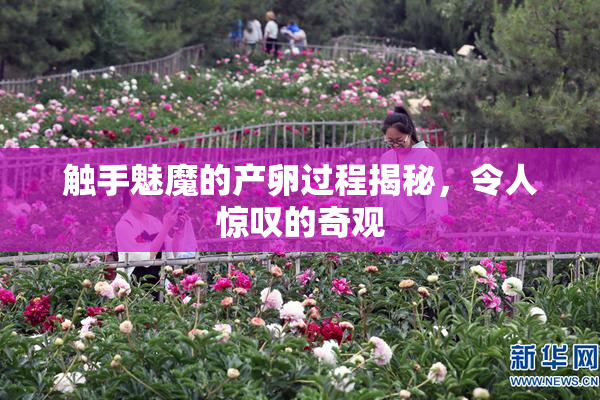 触手魅魔的产卵过程揭秘，令人惊叹的奇观