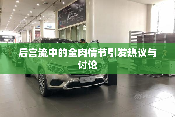 后宫流中的全肉情节引发热议与讨论