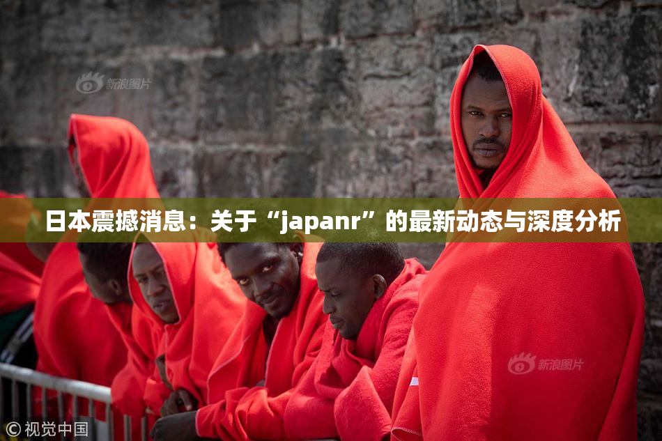 日本震撼消息：关于“japanr”的最新动态与深度分析