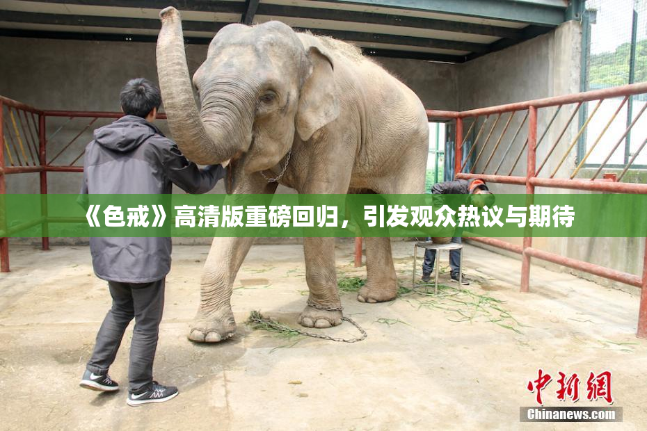 《色戒》高清版重磅回归，引发观众热议与期待