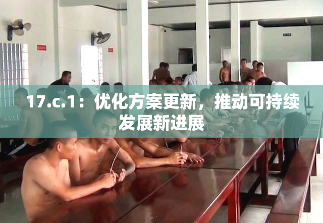 17.c.1：优化方案更新，推动可持续发展新进展