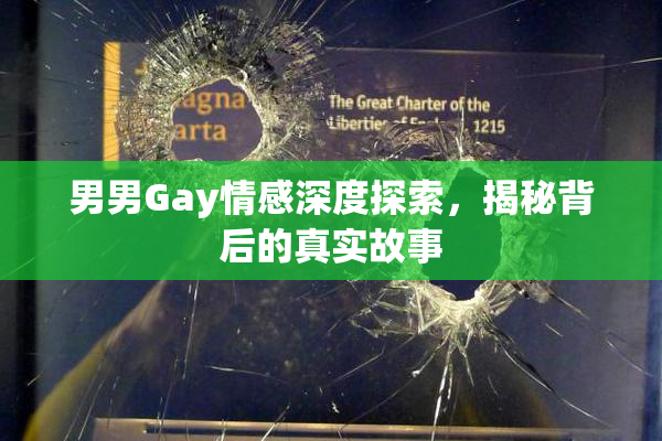 男男Gay情感深度探索，揭秘背后的真实故事