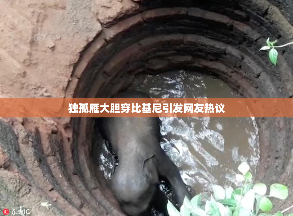 独孤雁大胆穿比基尼引发网友热议