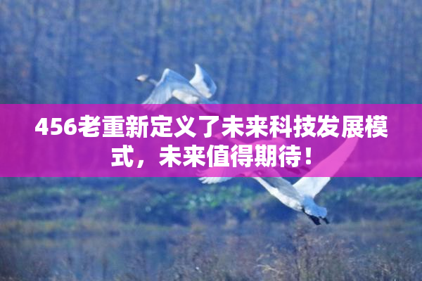 456老重新定义了未来科技发展模式，未来值得期待！