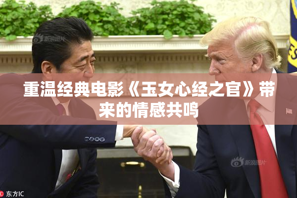 重温经典电影《玉女心经之官》带来的情感共鸣