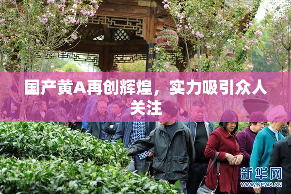 国产黄A再创辉煌，实力吸引众人关注