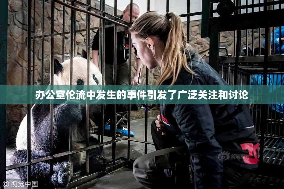 办公室伦流中发生的事件引发了广泛关注和讨论