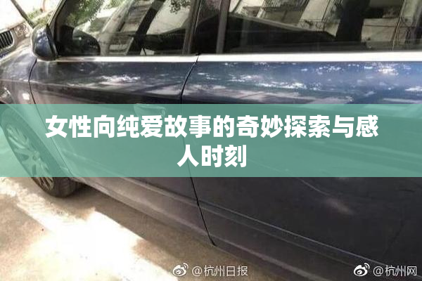 女性向纯爱故事的奇妙探索与感人时刻
