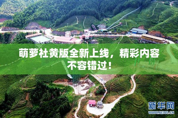 萌萝社黄版全新上线，精彩内容不容错过！