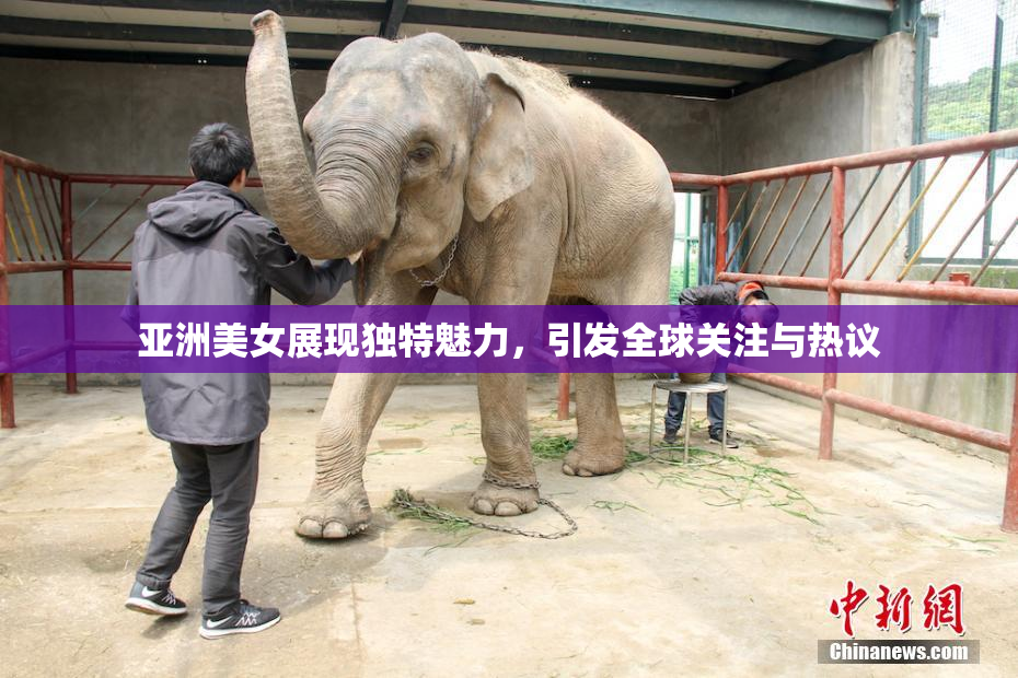 亚洲美女展现独特魅力，引发全球关注与热议