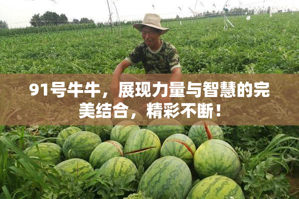 91号牛牛，展现力量与智慧的完美结合，精彩不断！