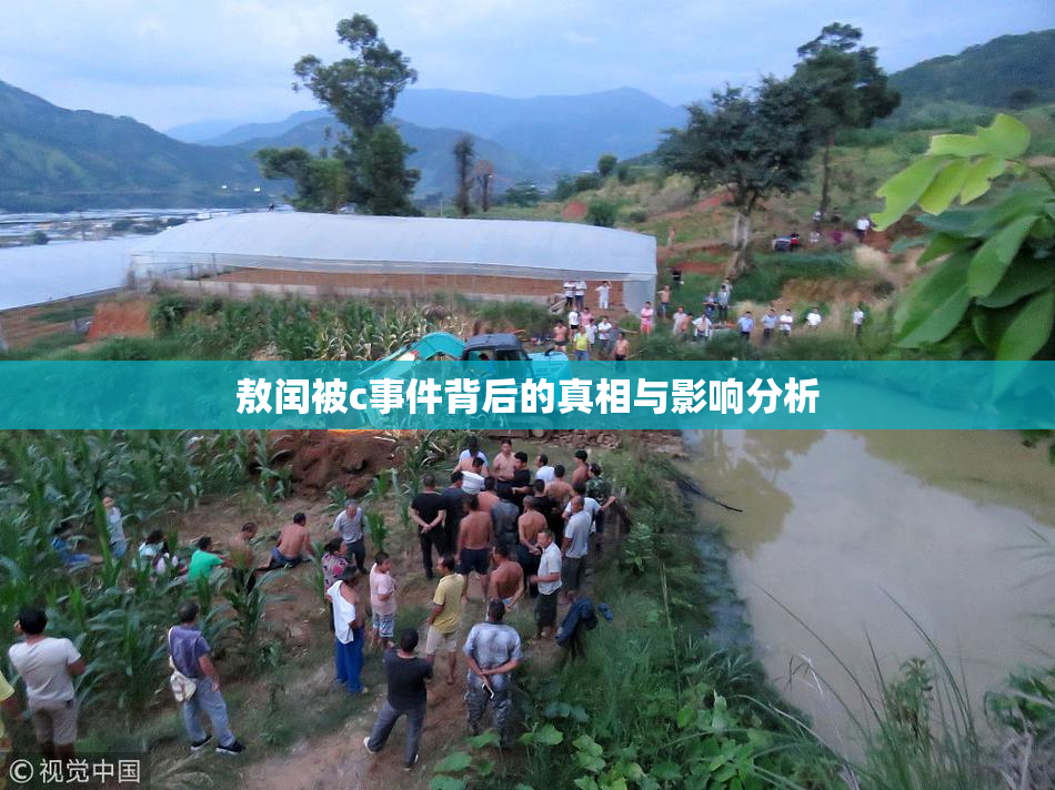 敖闰被c事件背后的真相与影响分析