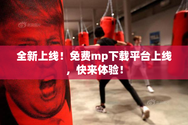 全新上线！免费mp下载平台上线，快来体验！