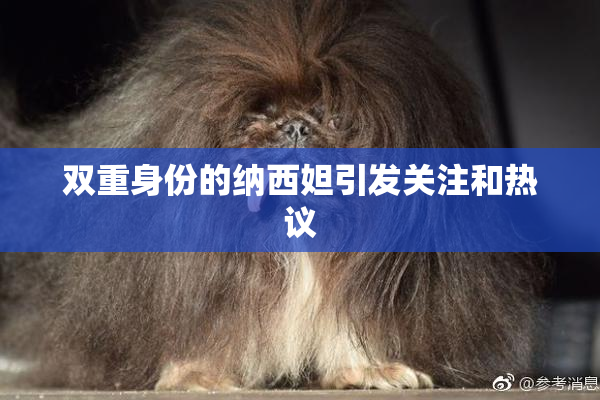 双重身份的纳西妲引发关注和热议