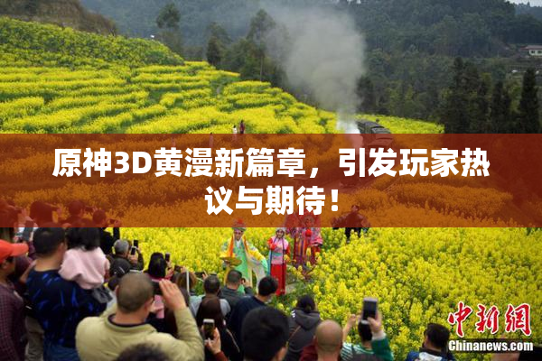 原神3D黄漫新篇章，引发玩家热议与期待！