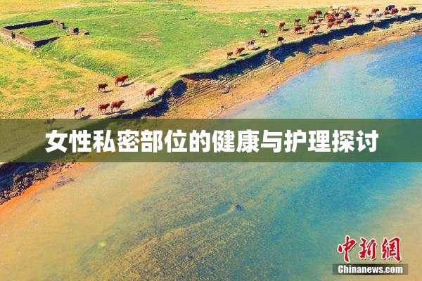 女性私密部位的健康与护理探讨