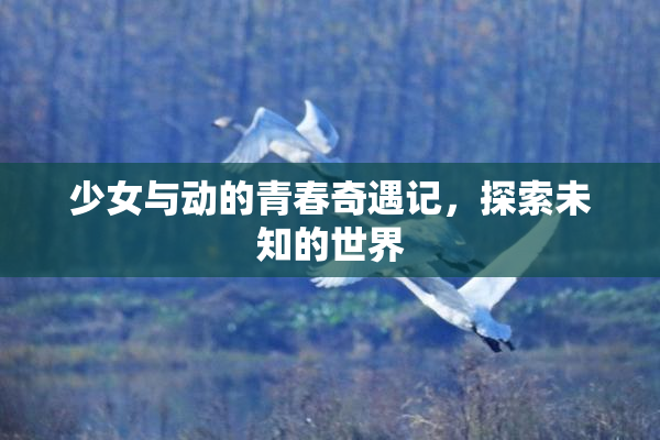 少女与动的青春奇遇记，探索未知的世界