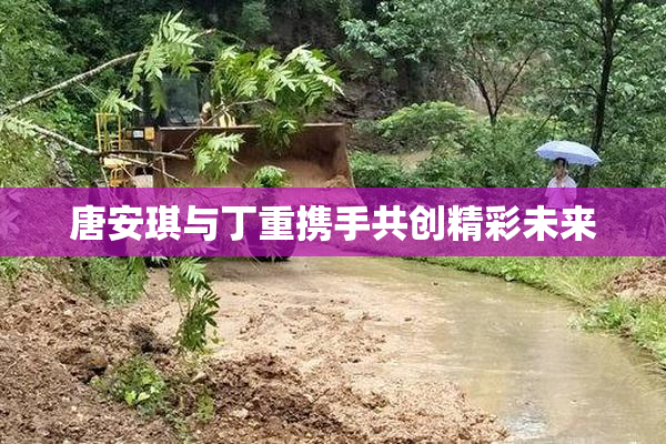 唐安琪与丁重携手共创精彩未来