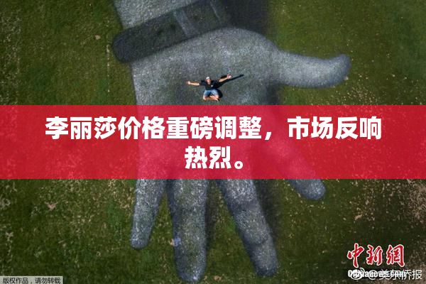 李丽莎价格重磅调整，市场反响热烈。