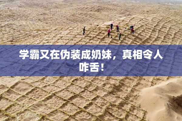 学霸又在伪装成奶妹，真相令人咋舌！