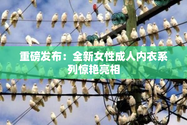 重磅发布：全新女性成人内衣系列惊艳亮相