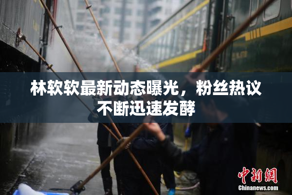 林软软最新动态曝光，粉丝热议不断迅速发酵
