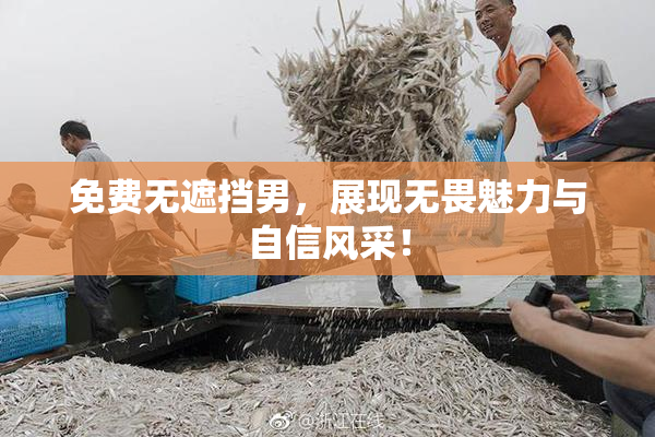 免费无遮挡男，展现无畏魅力与自信风采！