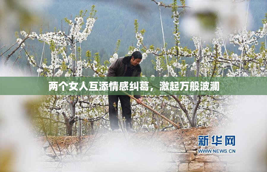两个女人互添情感纠葛，激起万般波澜