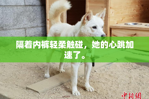 隔着内裤轻柔触碰，她的心跳加速了。