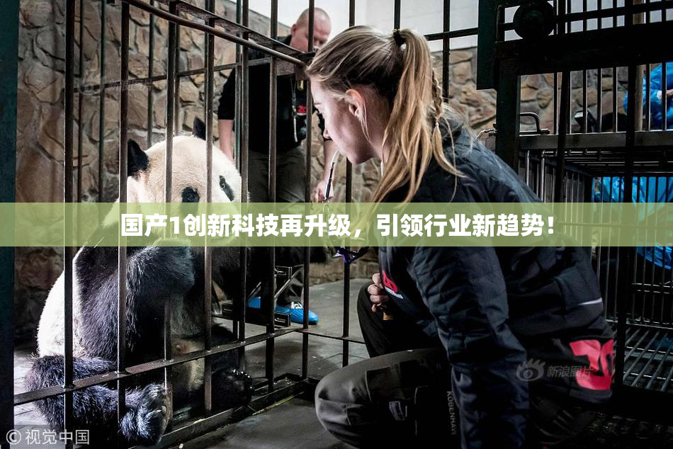 国产1创新科技再升级，引领行业新趋势！