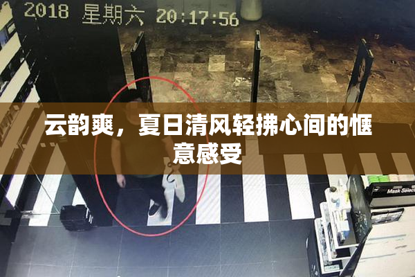 云韵爽，夏日清风轻拂心间的惬意感受