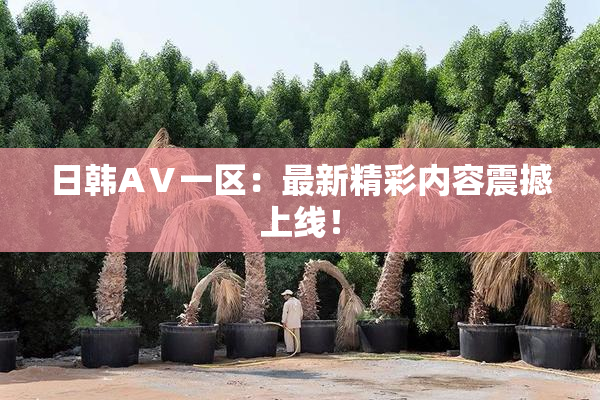 日韩AⅤ一区：最新精彩内容震撼上线！