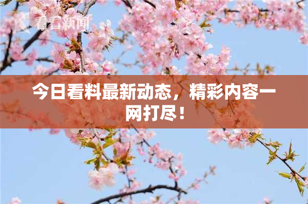 今日看料最新动态，精彩内容一网打尽！