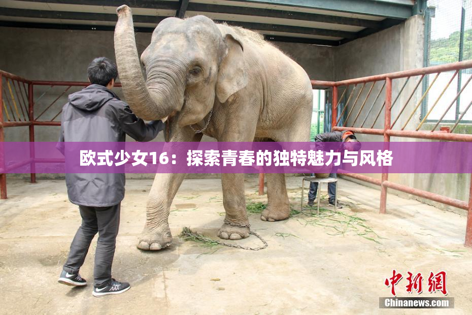 欧式少女16：探索青春的独特魅力与风格