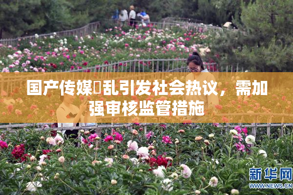国产传媒婬乱引发社会热议，需加强审核监管措施