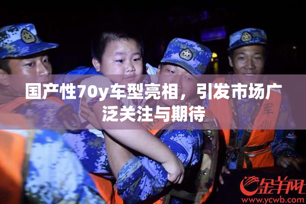 国产性70y车型亮相，引发市场广泛关注与期待