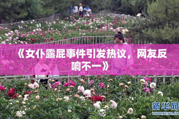 《女仆露屁事件引发热议，网友反响不一》