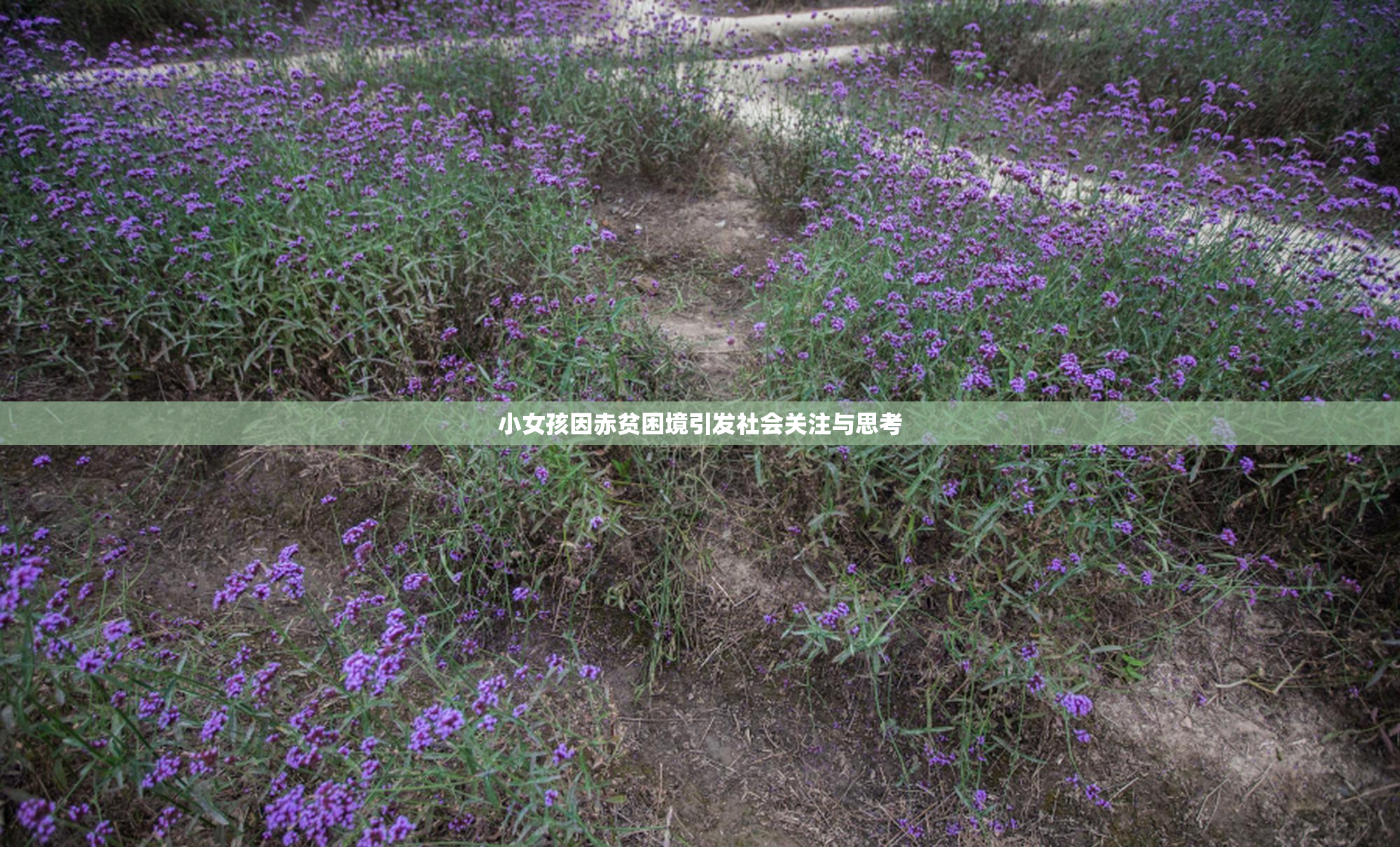 小女孩因赤贫困境引发社会关注与思考
