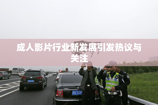 成人影片行业新发展引发热议与关注